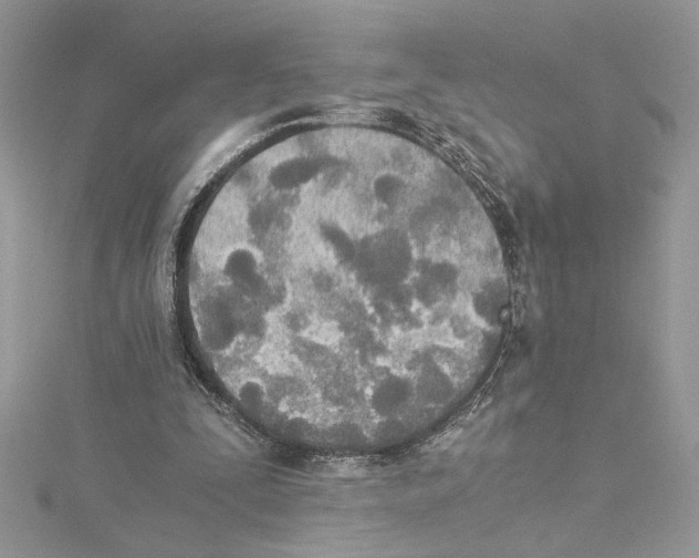 X0000114540295200911161403