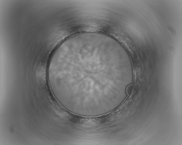 X0000114540297200911161403