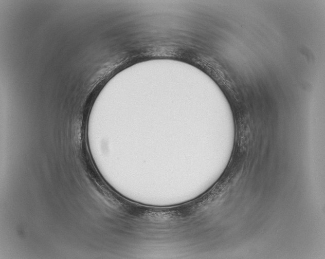 X0000114540299200911161403