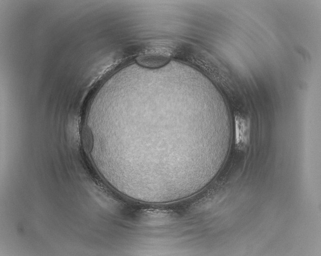 X0000114540300200911161403