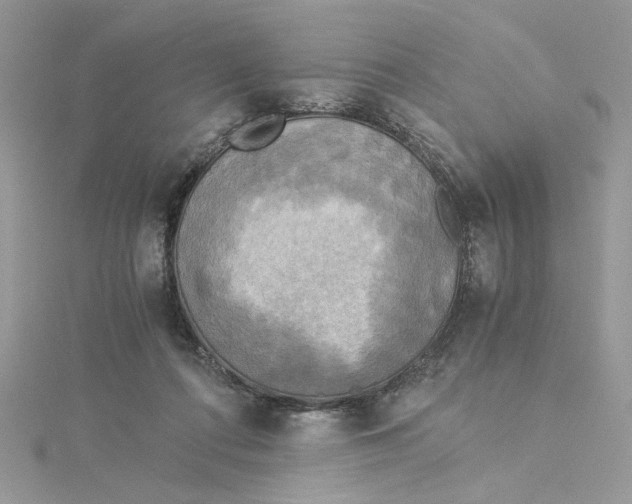 X0000114540312200911161403