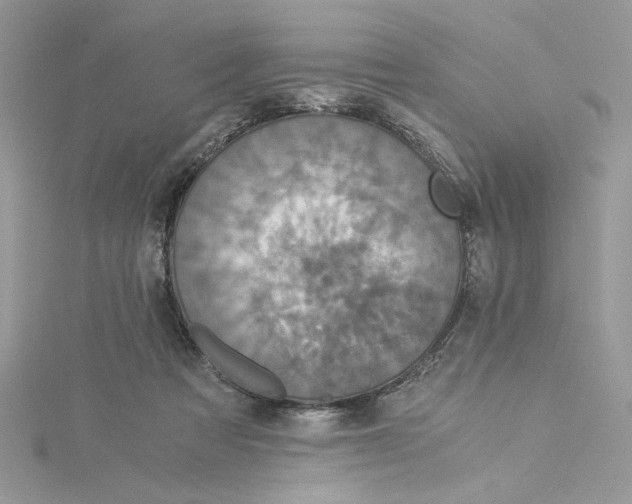 X0000114540313200911161403