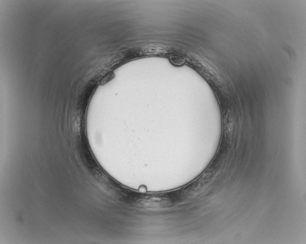 X0000114540315200911161403