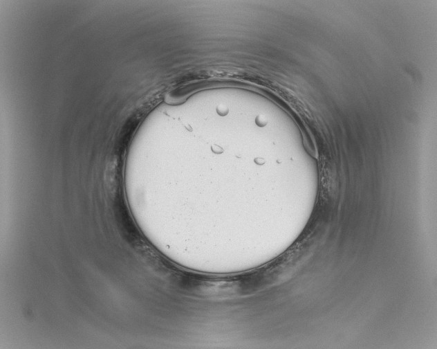 X0000114540319200911161403