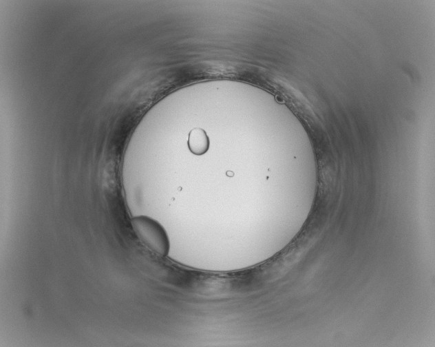 X0000114540325200911161403