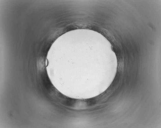 X0000114540335200911161403