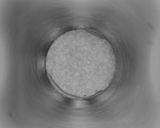 X0000114540336200911161403