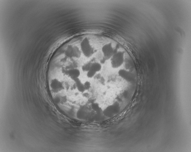 X0000114540337200911161402