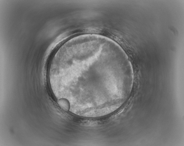 X0000114540343200911161402