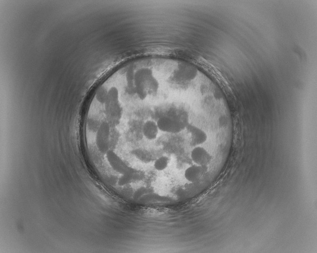 X0000114540346200911161402