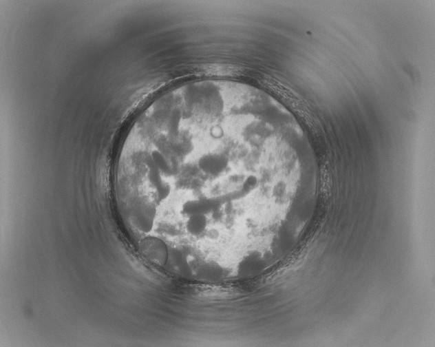 X0000114540347200911161402