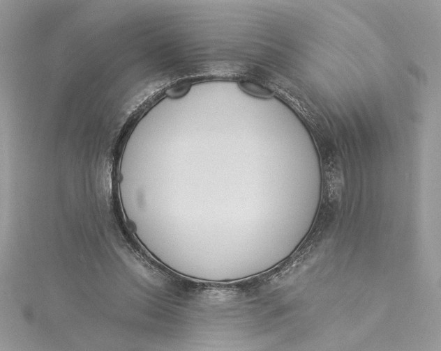 X0000114540350200911161402