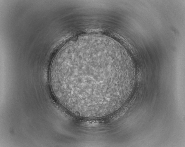 X0000114540353200911161402