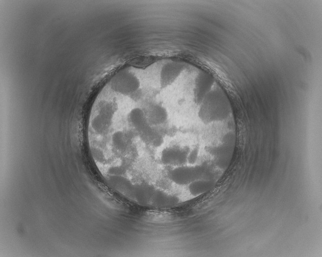 X0000114540354200911161402