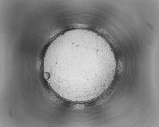 X0000114540355200911161402