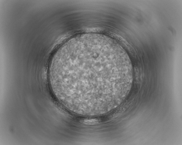 X0000114540357200911161402