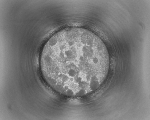 X0000114540358200911161402