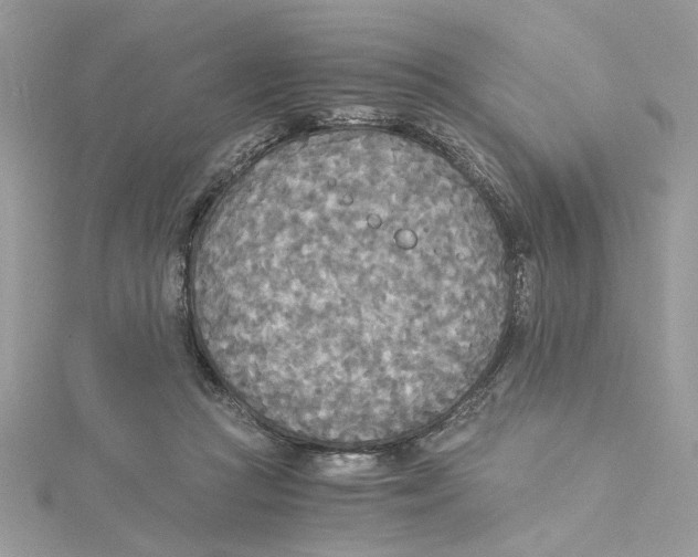 X0000114540361200911161402