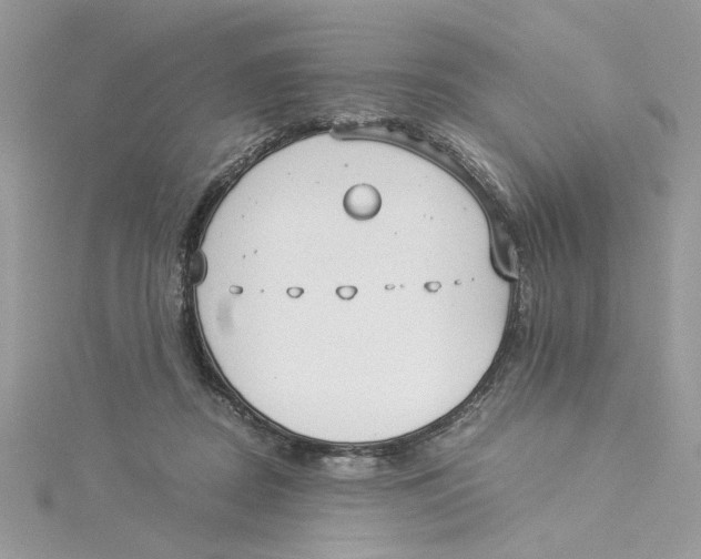 X0000114540362200911161402