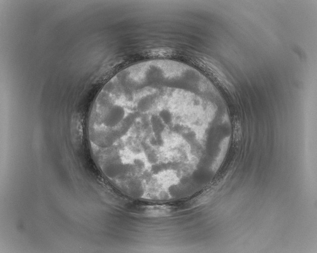 X0000114540363200911161402