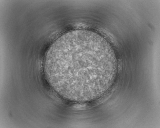 X0000114540369200911161402