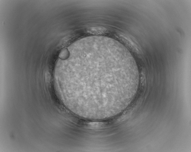 X0000114540371200911161402