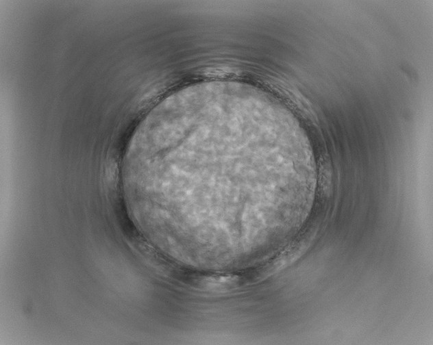 X0000114540375200911161403