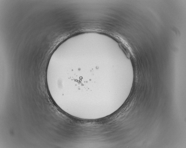 X0000114540385200911161402