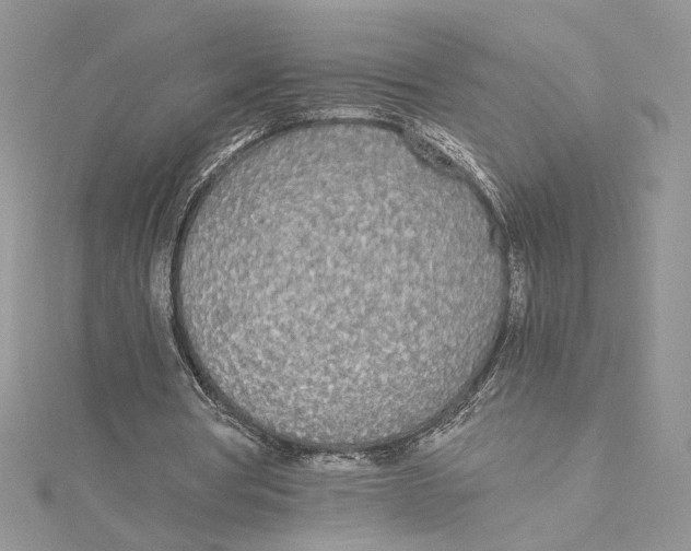 X0000114540386200911161402