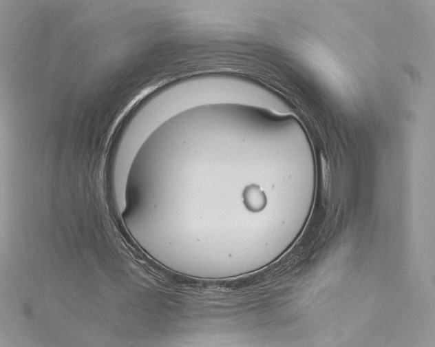 X0000114540387200911161402