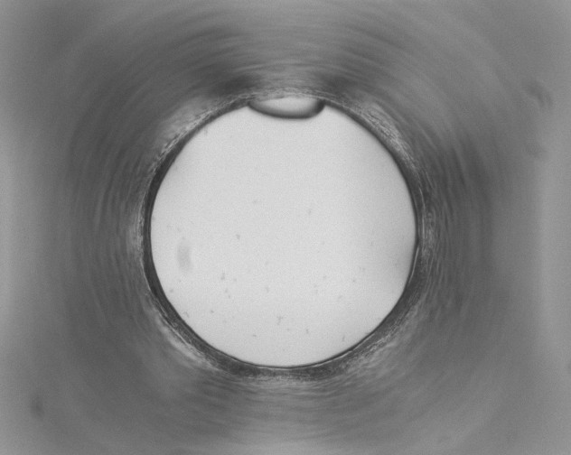 X0000114540389200911161402