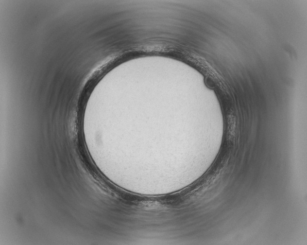 X0000114540392200911161402