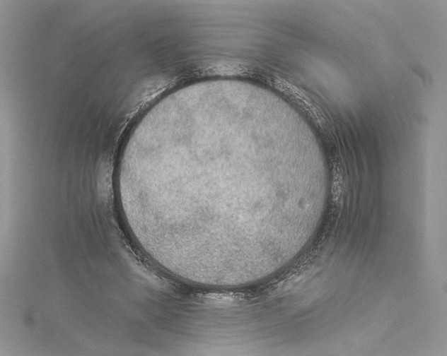 X0000114540394200911161402