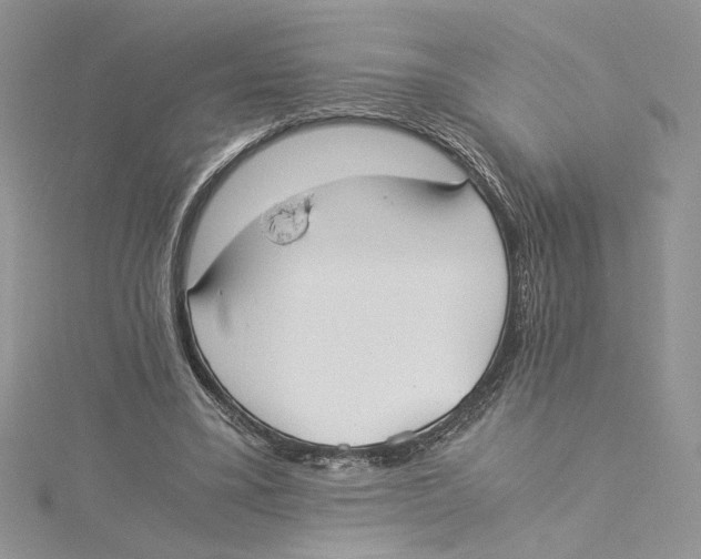 X0000114540395200911161402