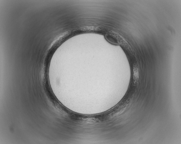 X0000114540396200911161402