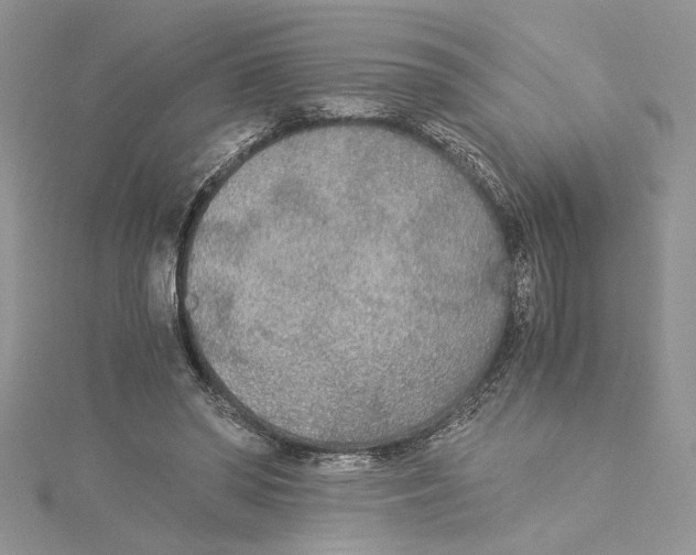 X0000114540398200911161402