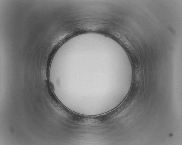 X0000114540399200911161402