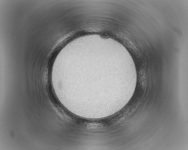 X0000114540400200911161402