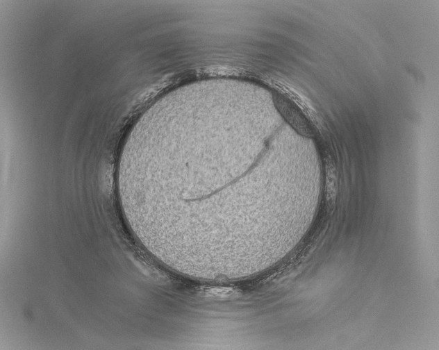 X0000114540401200911161402