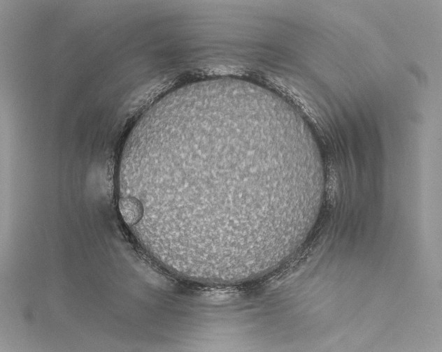 X0000114540402200911161402