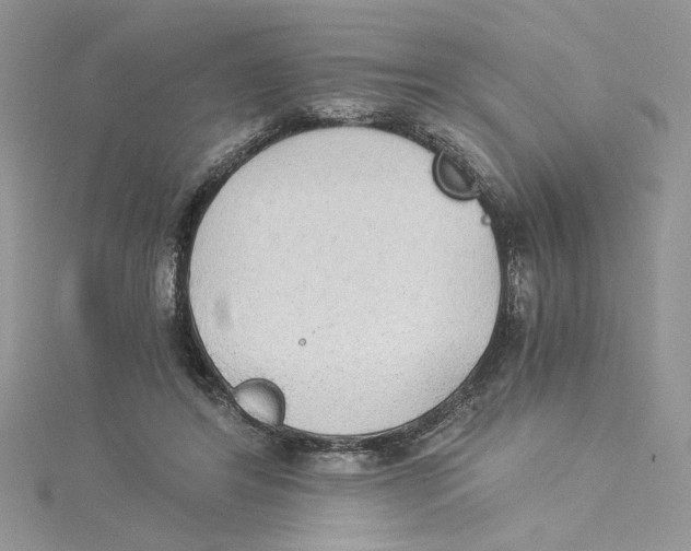 X0000114540404200911161402