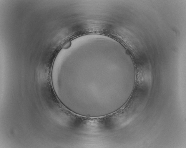 X0000114540411200911161402