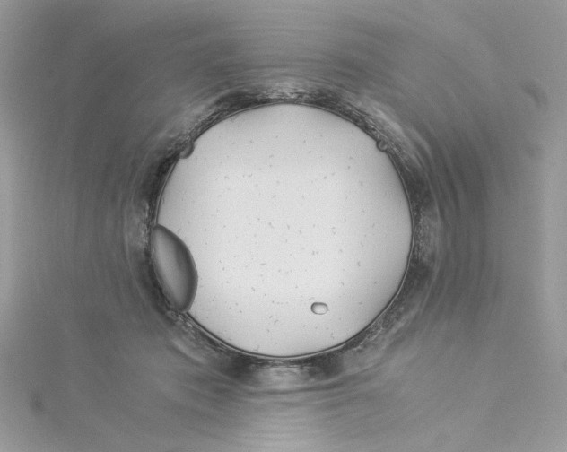 X0000114540413200911161402