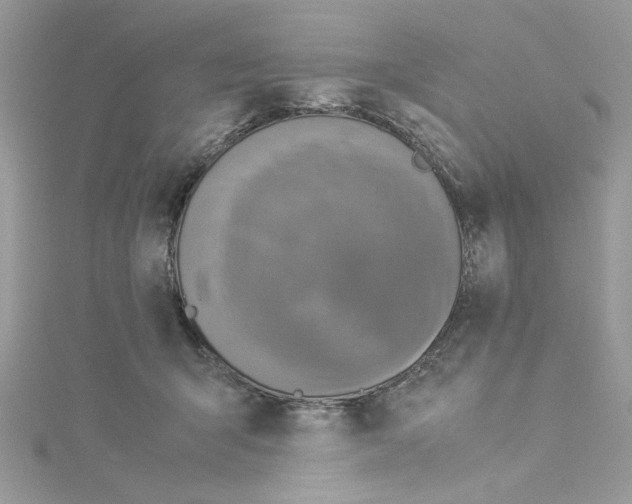 X0000114540415200911161402