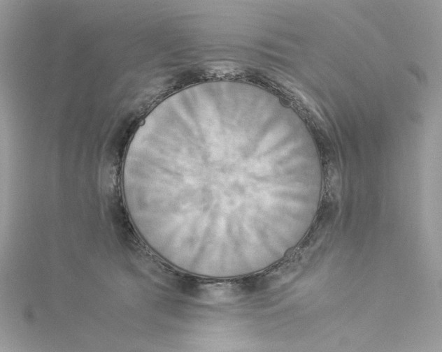 X0000114540417200911161402