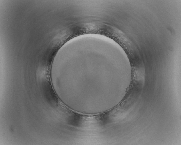 X0000114540419200911161402