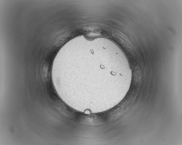 X0000114540420200911161402