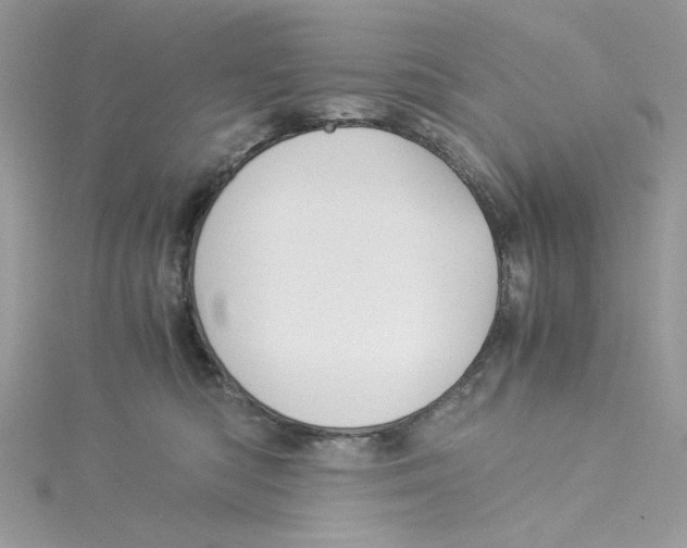 X0000114540422200911161401