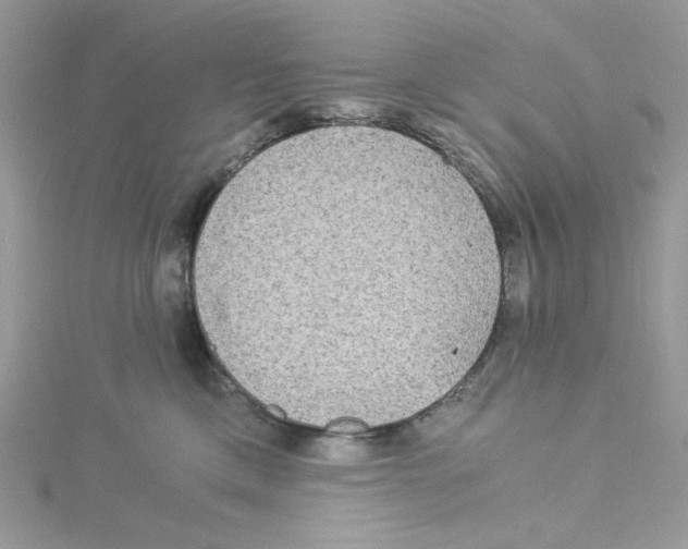 X0000114540425200911161401