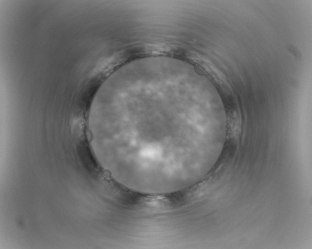 X0000114540427200911161401